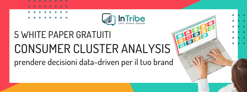 Consumer Centric Analysis Webinar InTribe